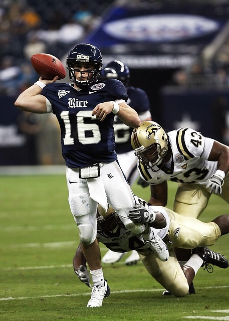 共同构成了 共同构成了